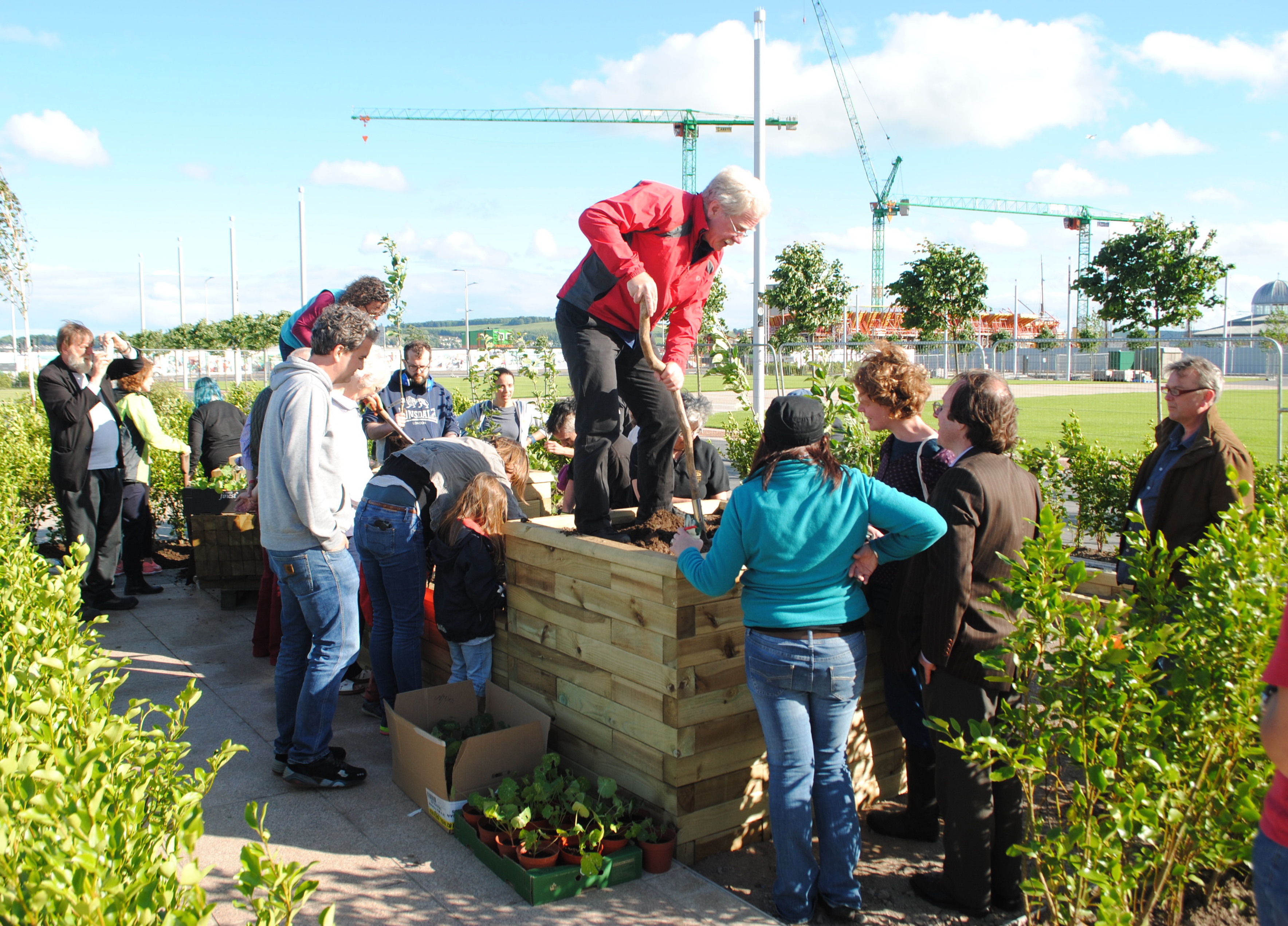 Dundee Urban Orchard, Orchard Planting in Slessor Gardens, 2016