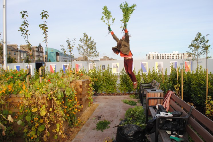 Jonathan Baxter - Dundee Urban Orchard - Slessor Gardens - Maintenance and Care