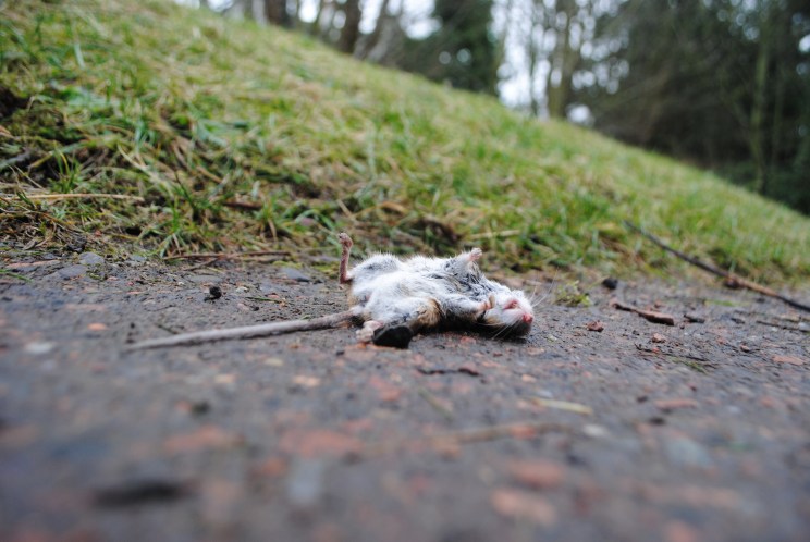 Jonathan Baxter - Small Nothing - February (day of the Line Walk)